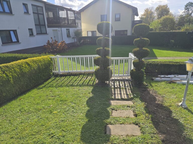 Weißer Staketenzaun im Garten zwischen Buchsbaumhecken